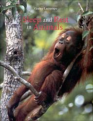 SLEEP AND REST IN ANIMALS 1