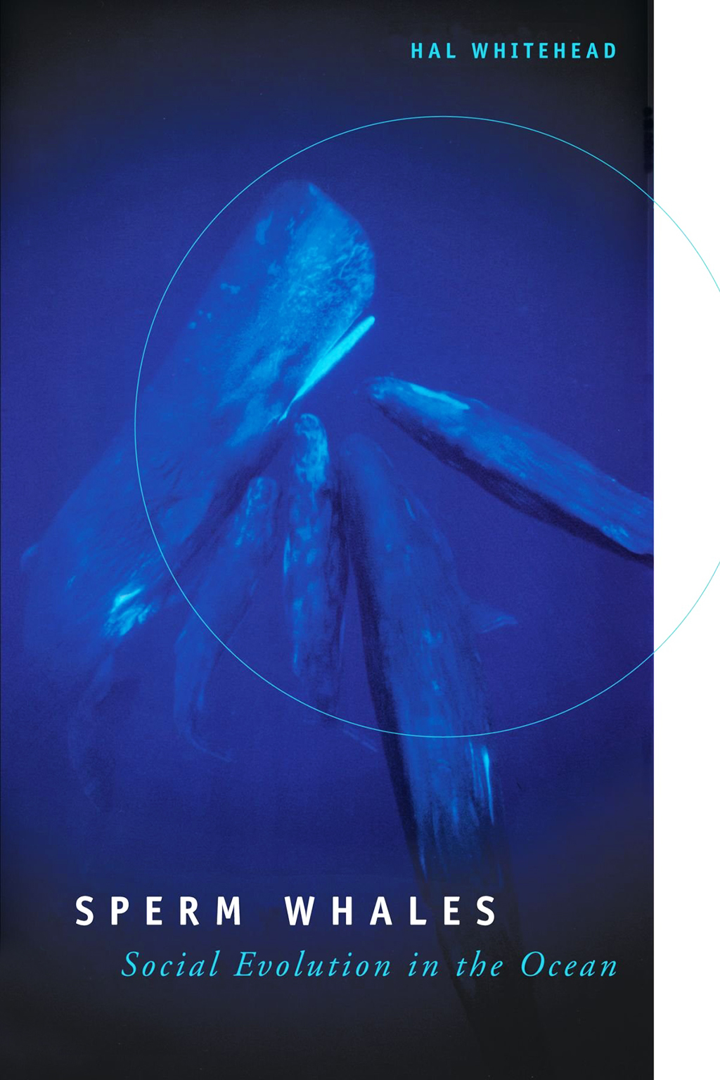 SPERM WHALES: SOCIAL EVOLUTION IN THE OCEAN 1