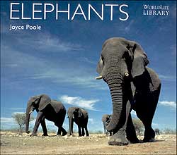 WORLDLIFE LIBRARY. ELEPHANTS 1