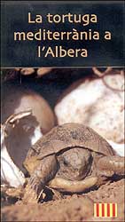 DVD LA TORTUGA MEDITERRÀNIA A L'ALBERA 1