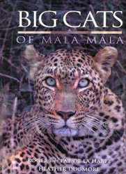 BIG CATS OF MALA MALA 1