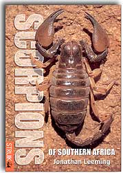 SCORPIONS OF SOUTHERN AFRICA 1