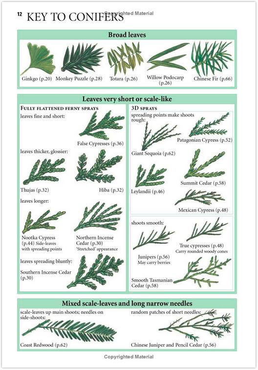 COLLINS TREE GUIDE. THE MOST COMPLETE FIELD GUIDE TO THE TREES OF BRITAIN AND EUROPE 2