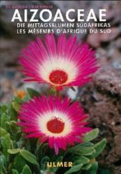 AIZOACEAE LES MÉSEMBS D'AFRIQUE DU SUD 1