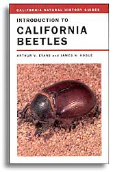 INTRODUCTION TO CALIFORNIA BEETLES 1