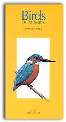 BIRDS OF MUMBAI 1