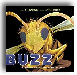 BUZZ. THE INTIMATE BOND BETWEEN HUMANS AND INSECTS 1