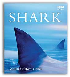 SHARK. WILDLIFE IN DANGER 1