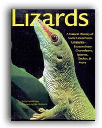 LIZARDS. A NATURAL HISTORY OF SOME UNCOMMON CREATURES- EXTRAORDINARY CHAMELEONS, IGUANAS, GECKOS, &AMP; MORE 1