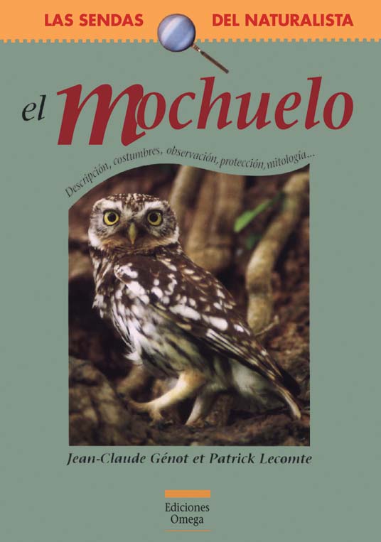 EL MOCHUELO 1