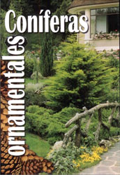 CONÍFERAS ORNAMENTALES 1