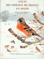 ATLAS DES OISEAUX DE FRANCE EN HIVER 1
