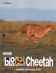 BBC BIG CAT DIARY CHEETAH . 1