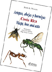 AVISPAS, ABEJAS Y HORMIGAS COSTA RICA /WASPS, BEES AND ANTS COSTA RICA 1