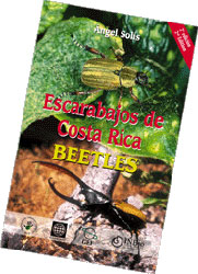 ESCARABAJOS DE COSTA RICA- BEETLES 1