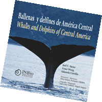 BALLENAS Y DELFINES DE AMÉRICA CENTRAL - WHALES AND DOLPHINS OF CENTRAL AMERICA 1