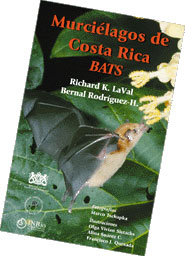 MURCIÉLAGOS DE COSTA RICA - BATS 1