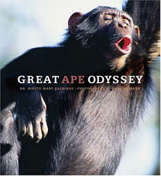 GREAT APE ODYSSEY 1