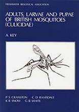 KEYS TO THE ADULTS, MALE HYPOPYGIA, FOURTH-INSTAR LARVAE AND PUPAE OF THE BRITISH MOSQUITOES (CULICIDAE) 1