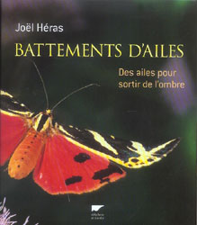 BATTEMENTS D'AILES. DES AILES POUR SORTIR DE L'OMBRE 1
