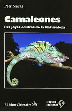 CAMALEONES. LAS JOYAS OCULTAS DE LA NATURALEZA 1