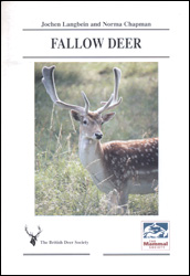 FALLOW DEER 1