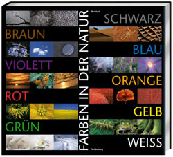 FARBEN IN DER NATUR 1