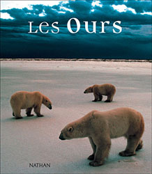 LES OURS 1