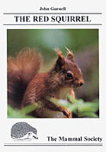 THE RED SQUIRREL 1