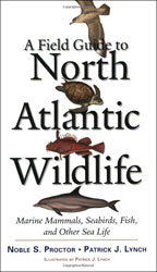 A FIELD GUIDE TO NORTH ATLANTIC WILDLIFE. MARINE MAMMALS, SEABIRDS, FISH AND OTHER SEA LIFE 1