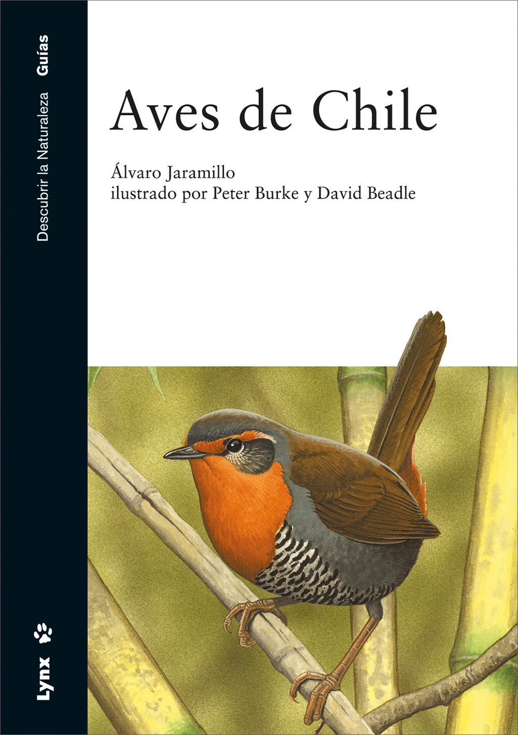 AVES DE CHILE 1