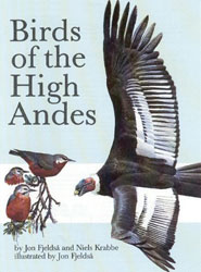 BIRDS OF THE HIGH ANDES 1