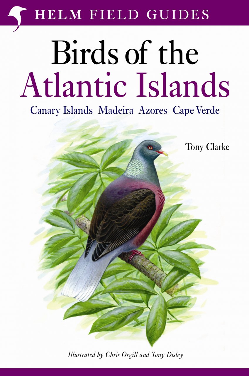 HELM FIELD GUIDES. BIRDS OF THE ATLANTIC ISLANDS. CANARY ISLANDS, MADEIRA, AZORES, CAPE VERDE 1