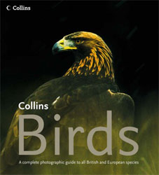 COLLINS BIRDS. A COMPLETE PHOTOGRAPHIC GUIDE TO ALL BRITISH AND EUROPEAN SPECIES 1