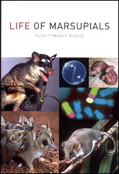LIFE OF MARSUPIALS 1
