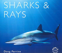 WORLD LIFE LIBRARY. SHARKS &AMP; RAYS 1