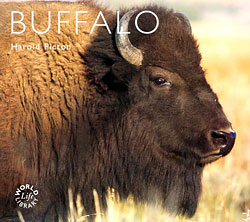 WORLD LIFE LIBRARY. BUFFALO 1