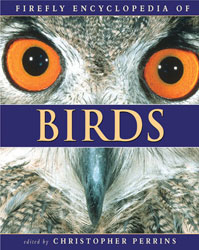 FIREFLY ENCYCLOPEDIA OF BIRDS 1