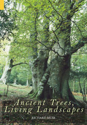 ANCIENT TREES LIVING LANDSCAPES 1
