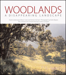 WOODLANDS. A DISAPPEARING LANDSCAPE 1
