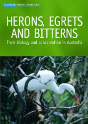 HERONS, EGRETS AND BITTERNS 1