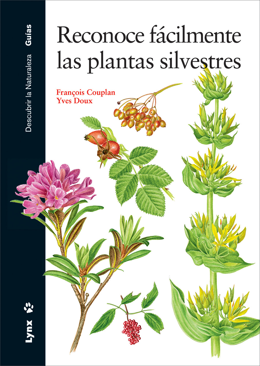 RECONOCE FÁCILMENTE LAS PLANTAS SILVESTRES 1
