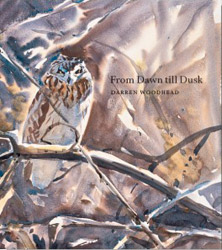 FROM DAWN TILL DUSK 1