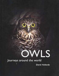 OWLS. JOURNEYS AROUND THE WORLD 1