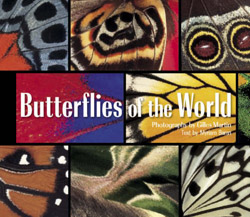 BUTTERFLIES OF THE WORLD 1