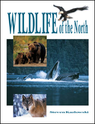 WILDLIFE OF THE NORTH 1