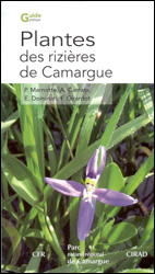 PLANTES DES RIZIÈRES DE CAMARGUE 1