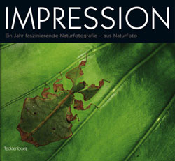 IMPRESSION. EIN JAHR FASZINIERENDE NATURFOTOGRAFIE 1