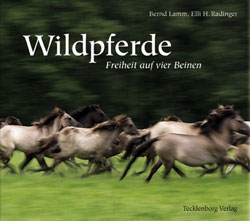 WILDPFERDE. FREIHEIT AUF VIER BEINEN 1