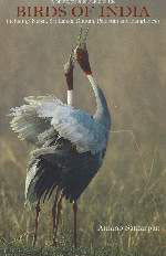 A PHOTOGRAPHIC GUIDE TO THE BIRDS OF INDIA. INCLUDING NEPAL, SRI LANKA, BHUTAN, PAKISTAN AND BANGLADESH 1